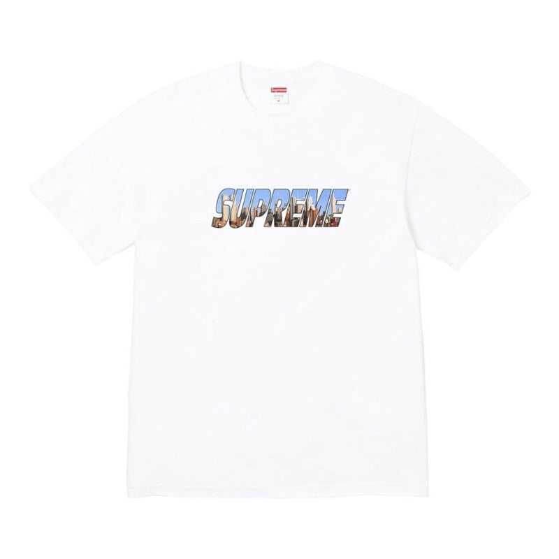 Supreme t shirts 2