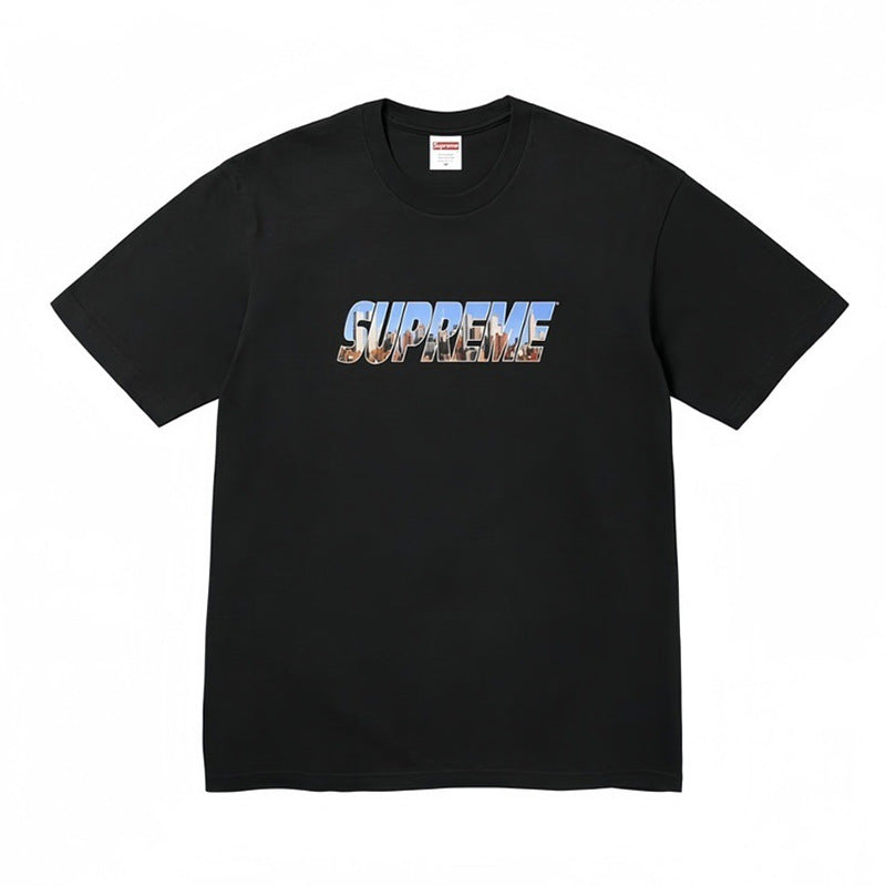 Supreme t shirts 2